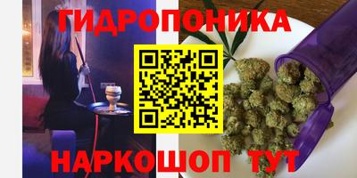сатива Кунгур