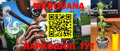сатива Кунгур